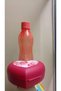 Pink Nutrition Set - Oyster Heart and Eco Bottle 500 ml - 6