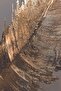 هاريكابيريف | نموذج تفصيلي للأسماك باللون الأسود والأزرق والذهبي 2 | طاولة من الزجاج المقسى بإطار عمودي واحد - 2