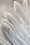Hari̇kabi̇rev | Loved White Feathers Combination | Framed Tempered Glass Table Single Vertical - 2