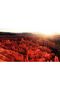 Hari̇kabi̇rev | Red Canyon Landscape Model with Summer View | Framed Tempered Glass Table Single Horizontal - 2