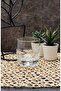 Sylvana 6 Pieces Whiskey Glass 42415 Fma02323 - 2