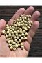 Wooden Beads 6 Mm, 80 Gr - Wooden Varnished -