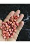 10 Mm Soft Pink Wooden Beads, Decoration Beads, Macrame Beads - (100gr Average 300 Pieces)