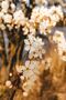 Hari̇kabi̇rev | Loved Flower Bunch Combination Gold | Framed Glass Table 2 Pieces Vertical - 3