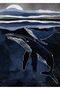 Hari̇kabi̇rev | Blue-Grey-Black Dolphin Detailed Model 2 | Framed Tempered Glass Table Single Vertical - 2