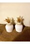 Decorative 10 cm Vase Home Decoration Living Room Bookshelf Tv Unit Console Accessory(Without Flowers) - 6