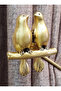 Kuşlu U Renso gold (1 Adet) - 3