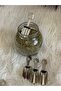 Mini Metal Spice Spoon Set of 6 Silver Color - 2
