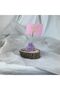 Antique Pink - Purple Rabbit 2 Piece Note Holder Set, Photo Holder - 8