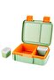 Raccoon Lunch Box - 4