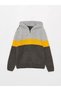 Hooded Color Blocked Long Sleeve Boy's Knitwear Cardigan
