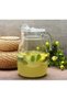 43864 Jug Carafe Niagara Transparent Lid - 2