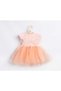 Salmon Butterfly Wings Short Sleeve Girl's Tutu Dress - 5