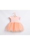 Salmon Butterfly Wings Short Sleeve Girl's Tutu Dress - 6