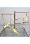 Sultan Parrot Cage Top Swing Perch