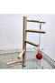Shaped Spinning Ladder Perch for Cockatiels and Birds - Grass Bulk - 3