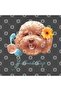 Toy Poodle Mug, Gift, Dowry, Presentation Holder - 3