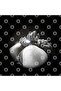 Shibari Mug, Gift, Dowry, Presentation - 3
