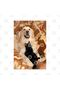 كوب Golden Retriever وBlack Cat، هدية، مهر، عرض - 2