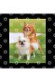 Chihuahua Humping Mug - Elegant Hesit Cut Prank Shoes - 3