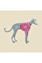 Greyhound in a Sweater Mug, Gift, Dowry, Presentation Holder - 3