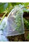 Grape Fruit Protection Bag, Medium Size Grape Tulle Bag, 50 Pieces (15X24 cm), Grape Bag - 5