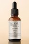Clove Oil - 100% Pure and Natural Skin and Hair Care Oil - Clove Oil - 10 ml