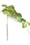 Artificial Plant Living Room Vine Red-Green 35 Cm.
