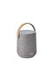 Citation 200 Portable Smart Speaker - Gray, Hd Sound Quality