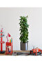 Potted plant design adhesive sticker picture - 3
