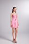 Ruffle Detailed Chiffon Mini Sorento Dress Pink - 4