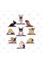 Frenchie Yoga Mug, Gift, Dowry, Presentation - 2
