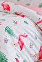 Flamingo Single Cotton Duvet Cover Set |   4 Pieces |   Set with Sheets and Pillows - 3