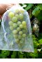 Grape Fruit Protection Bag, Medium Size Grape Tulle Bag, 50 Pieces (15X24 cm), Grape Bag