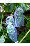 Grape Fruit Protection Bag, Medium Size Grape Tulle Bag, 50 Pieces (15X24 cm), Grape Bag - 6