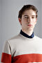 MEN'S KNITTED ROUNDNECK C.WWOOL - 3