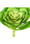 صبار صناعي أخضر عصاري 15 سم - 2