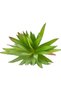 Cactus Artificial Suculent Verde 20 Cm - 2