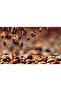 Premium Coffee 250 Gram Cylinder Box - 2
