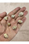 Real Seashell - Maculosus Pulchra - Without Holes - (60Gr, Avg. 35 Pieces)