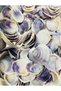 Real Seashell - Oceanum Legatum - Without Holes - (60Gr, 10 Pieces Each) - 3