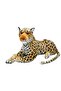 Kükreyen Sesli Leopar
