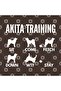 Akita Inu Mug for Education - Gift, Dowry and Presentation - 3