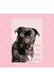 Loved by My Pug Mug, Gift, Dowry, Presentation Holder - 2