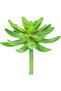 صبار صناعي أخضر عصاري 11 سم - 3