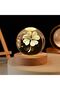 Special Production Crystal Glass World Globe Premium Life Decorative Wooden Led Light USB Cable Vip Pro Model - 2