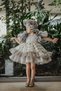 Special Design Girl's Dress with Hat, Short Girl's Dress, Children's Evening Dress with Accessories - 6