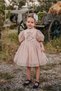 Special Design Girl's Dress, Lace Birthday Dress, Children's Evening Dress - 7