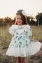 Girl's Dress, Crown Accessory Dress, Birthday Dress
