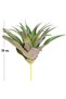 Cactus Artificial Suculent Verde 28 Cm - 4